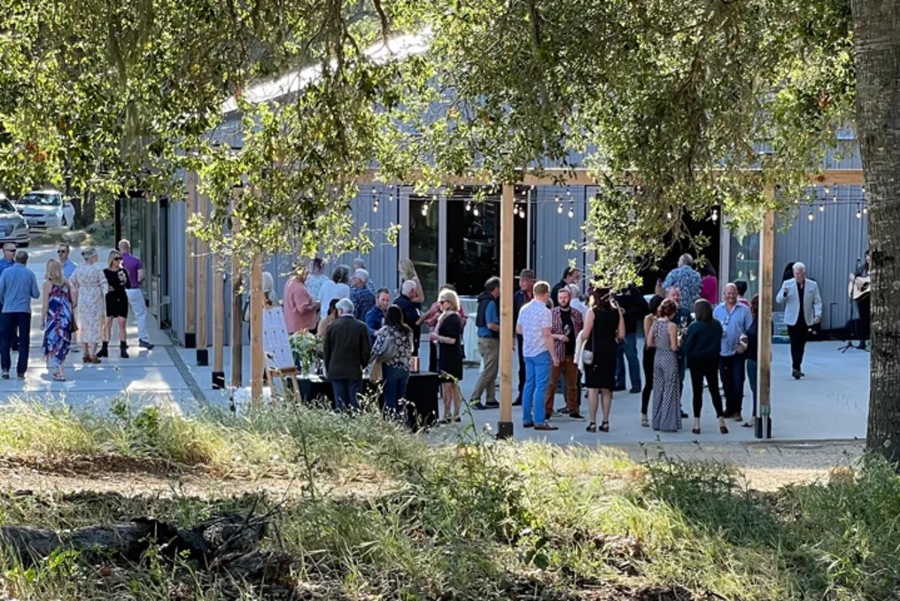 Oak & Vine Vineyard Estate #32