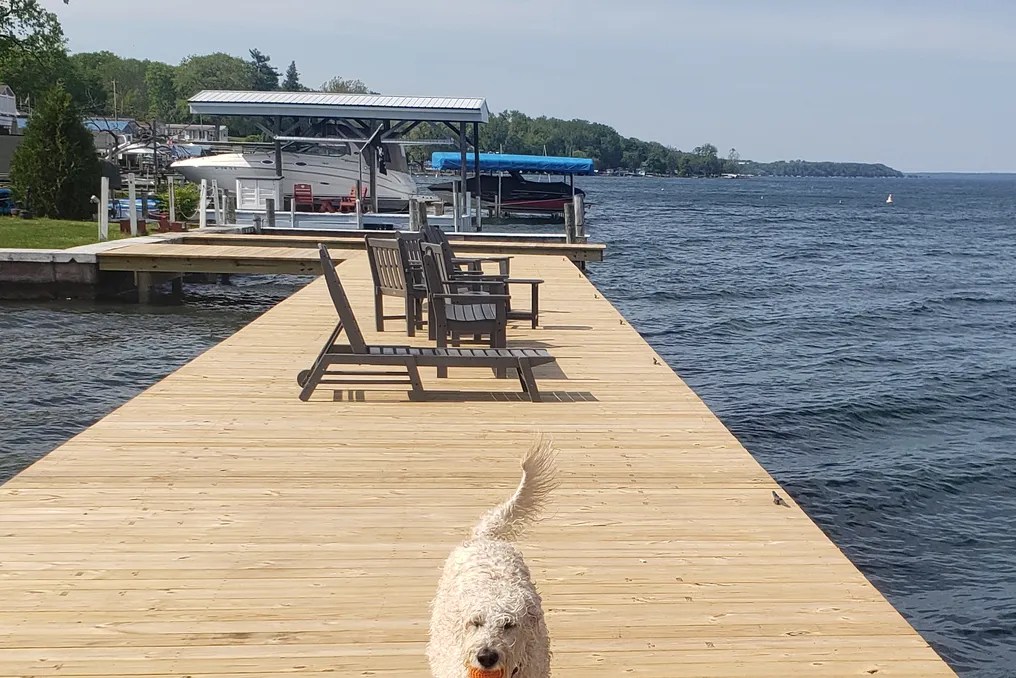 Plum Point Lodge on Seneca LLC #2