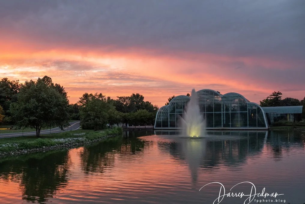 The Butterfly House #6