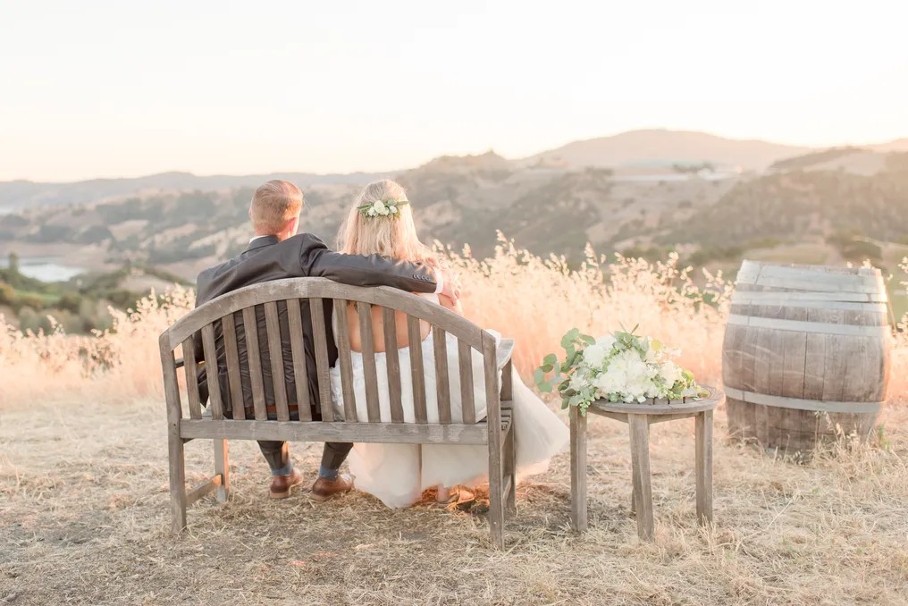 Aloria Vineyards #14