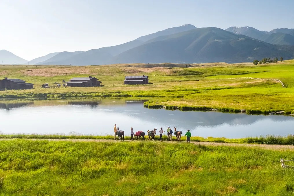 Sage Lodge #25