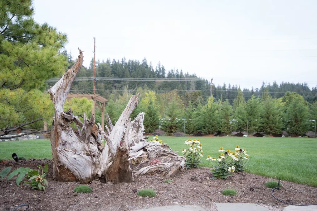 Trillium Nursery Farm #25