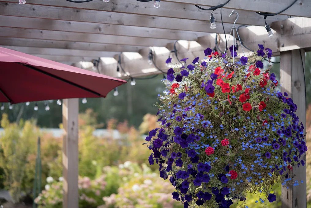 Trillium Nursery Farm #28