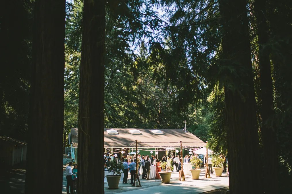 Amphitheater of the Redwoods at Pema Osel Ling #3
