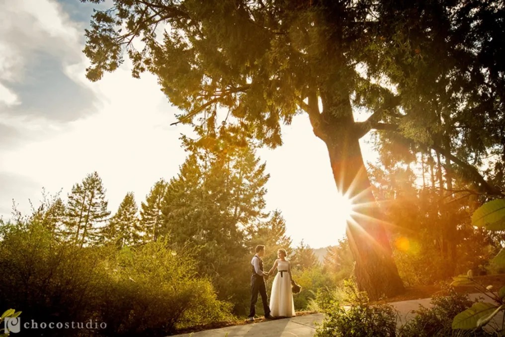 Amphitheater of the Redwoods at Pema Osel Ling #9