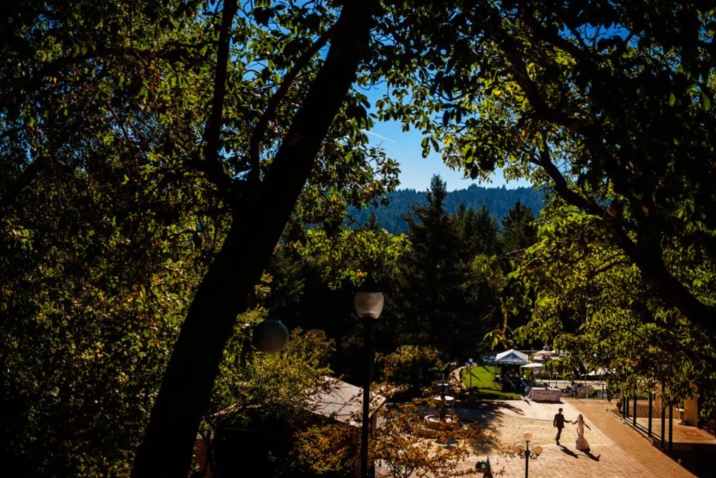 Amphitheater of the Redwoods at Pema Osel Ling #10