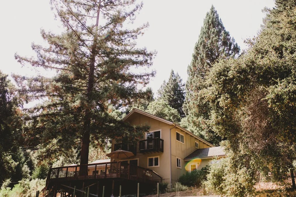 Amphitheater of the Redwoods at Pema Osel Ling #17
