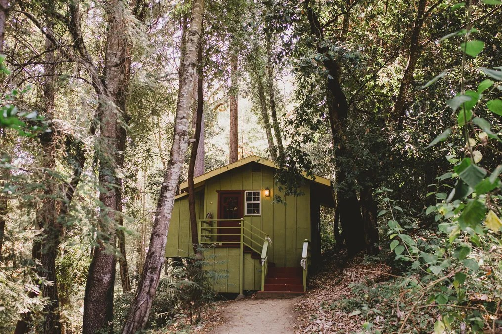 Amphitheater of the Redwoods at Pema Osel Ling #18