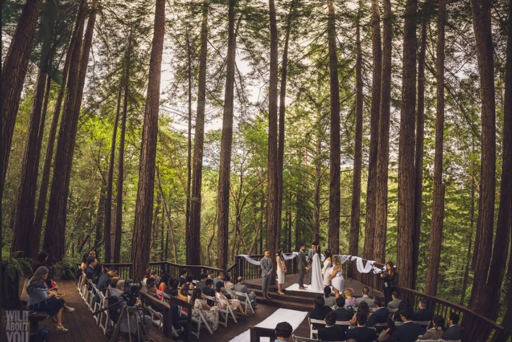 Amphitheater of the Redwoods at Pema Osel Ling #23