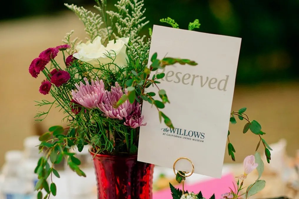 The Willows at CALM #2