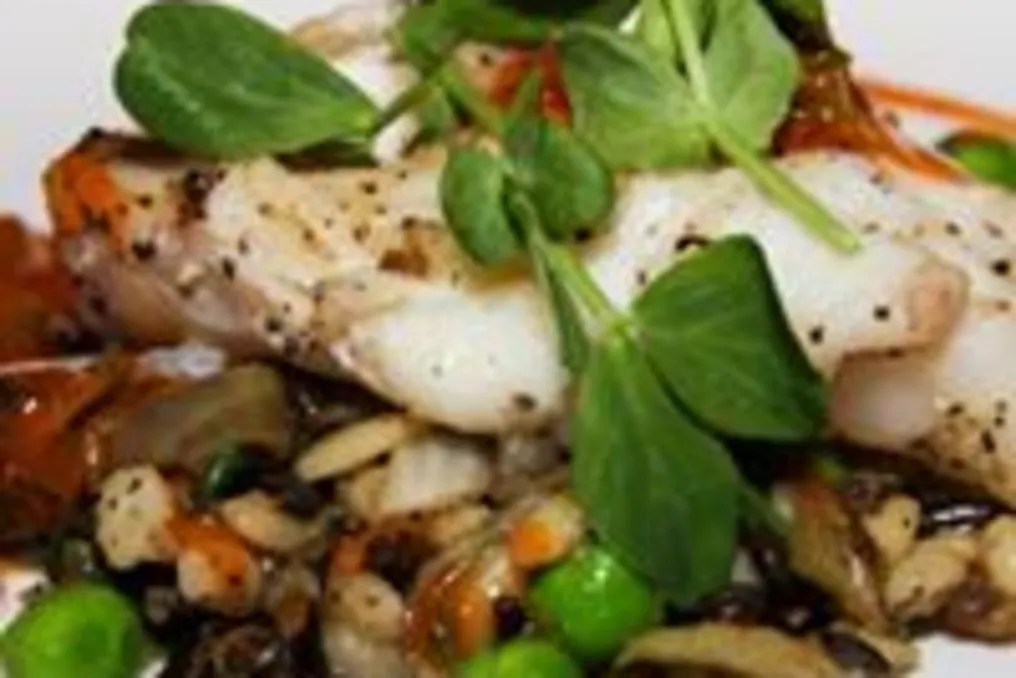 Registry Catering #102