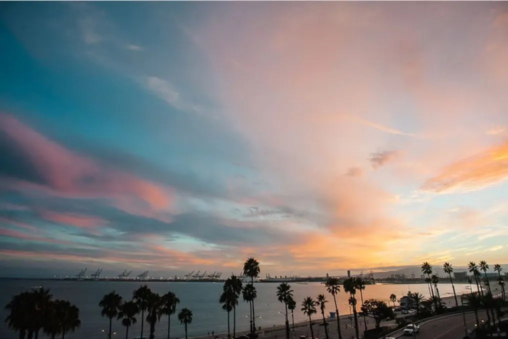 Long Beach Museum Of Art #5