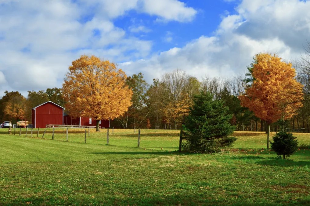 Heritage Hall at Lost Creek Reserve #15