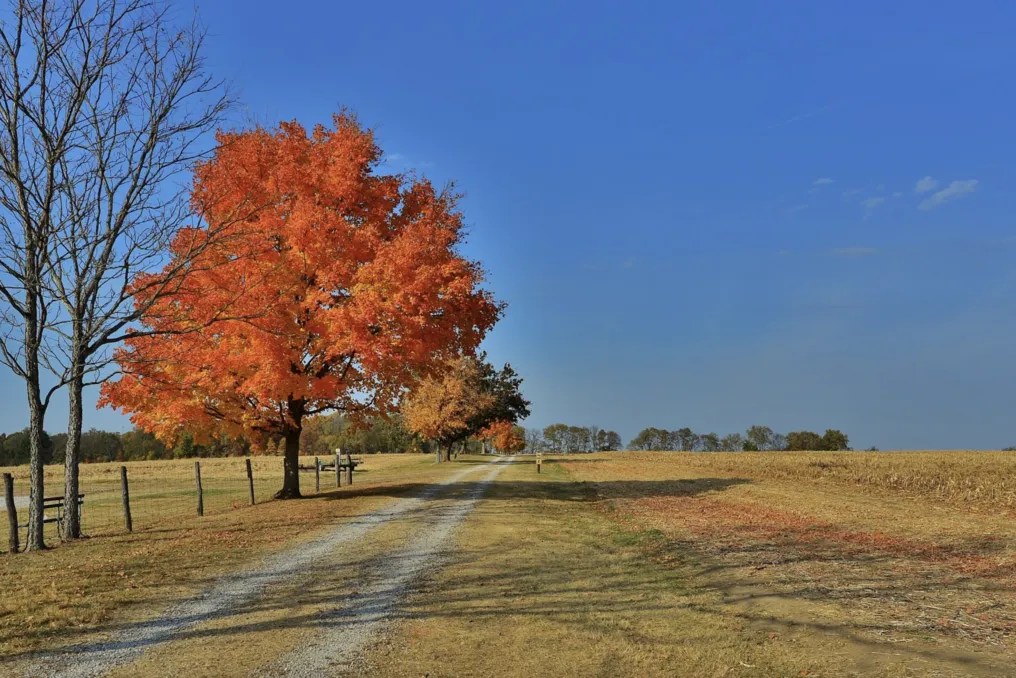 Heritage Hall at Lost Creek Reserve #16