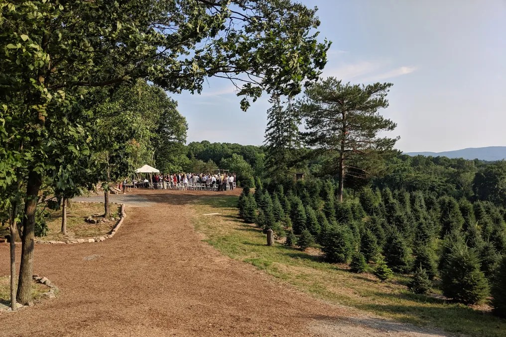 Emmerich Tree Farm #4