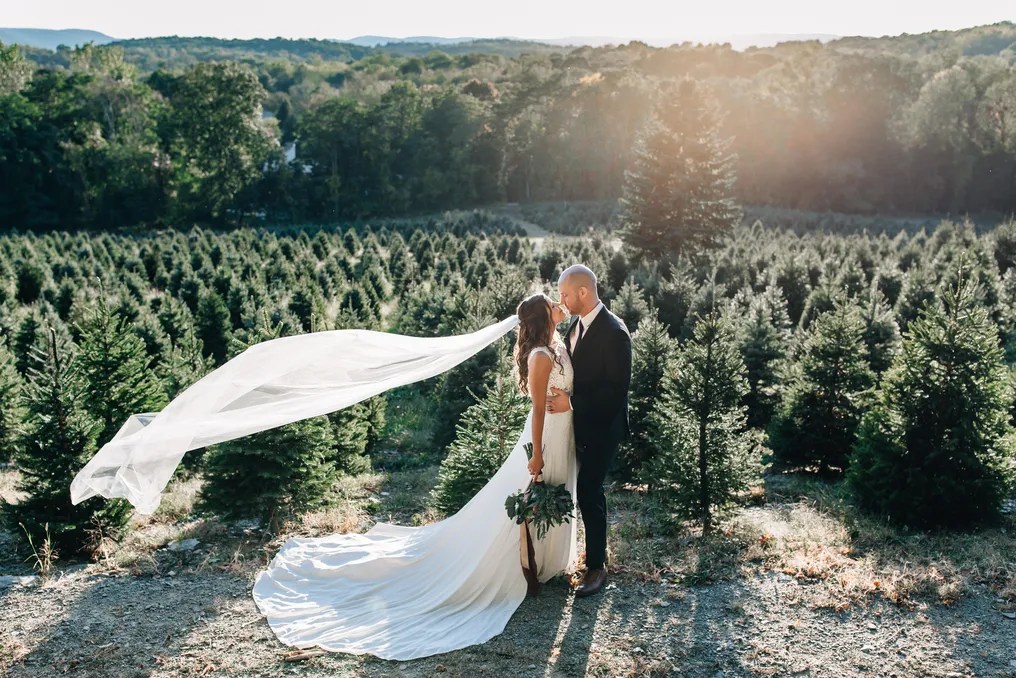 Emmerich Tree Farm #7