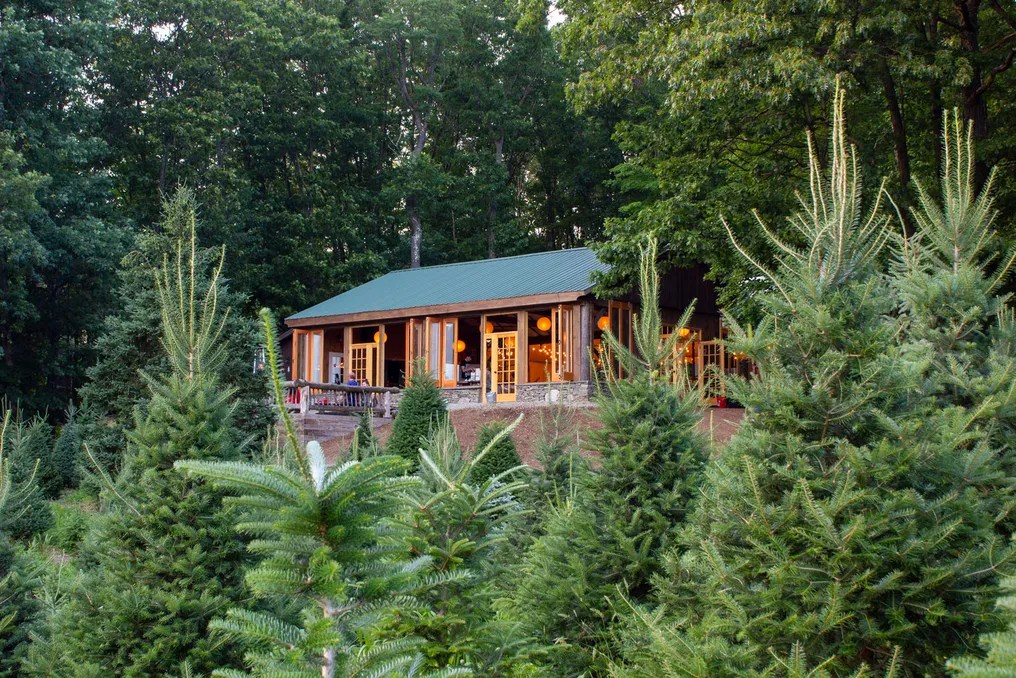 Emmerich Tree Farm #12