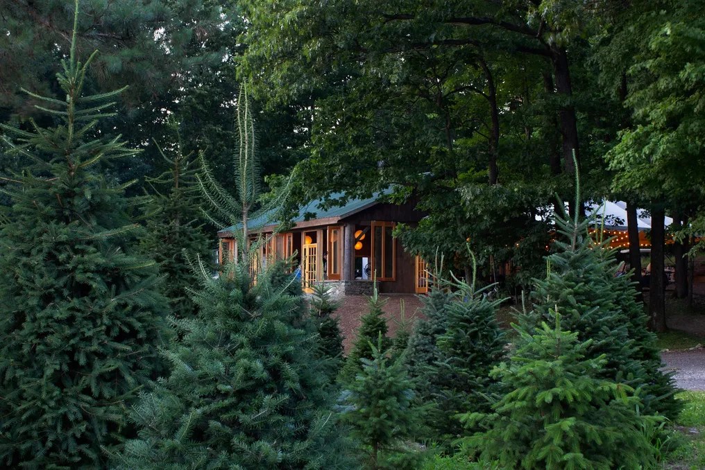 Emmerich Tree Farm #21