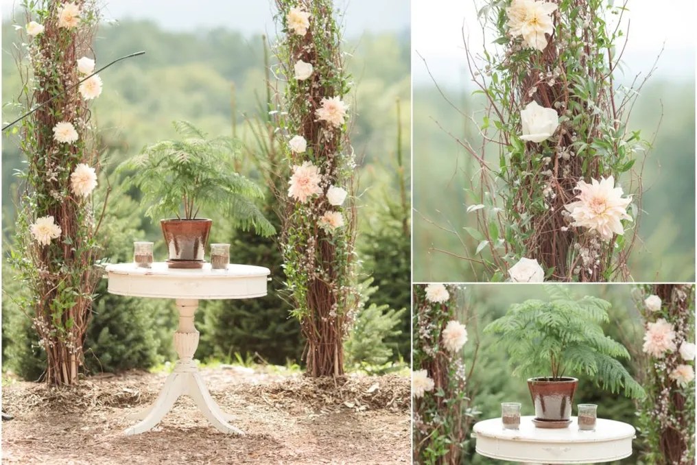 Emmerich Tree Farm #25
