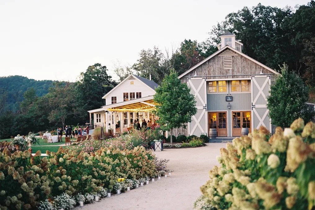 Pippin Hill Farm & Vineyards #1
