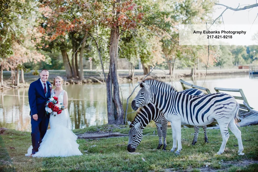 Aikman Wildlife #8