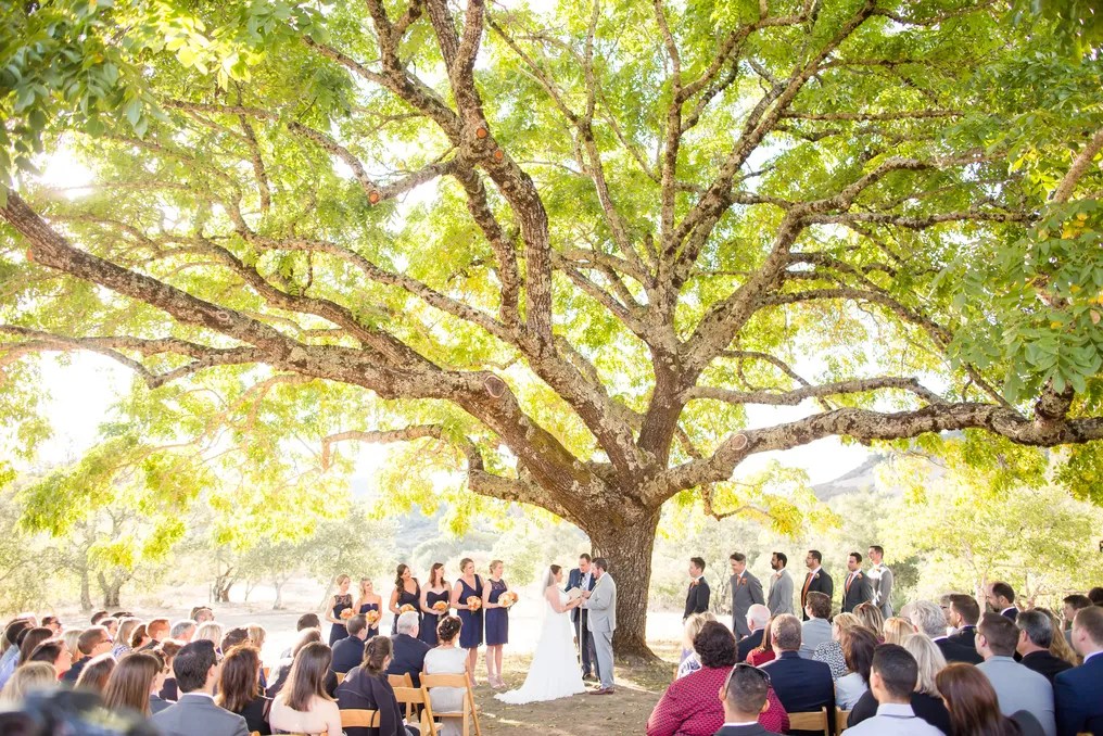 Triple S Ranch Napa #1