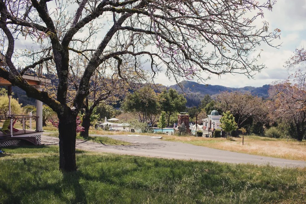 Triple S Ranch Napa #3
