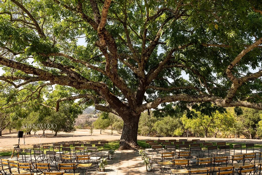 Triple S Ranch Napa #13