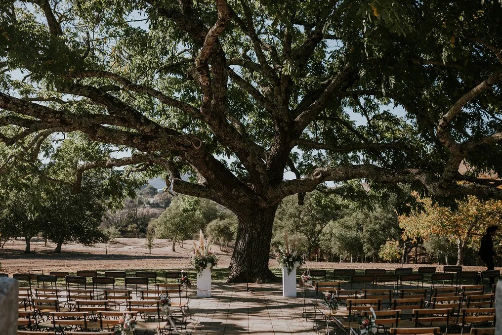 Triple S Ranch Napa #30