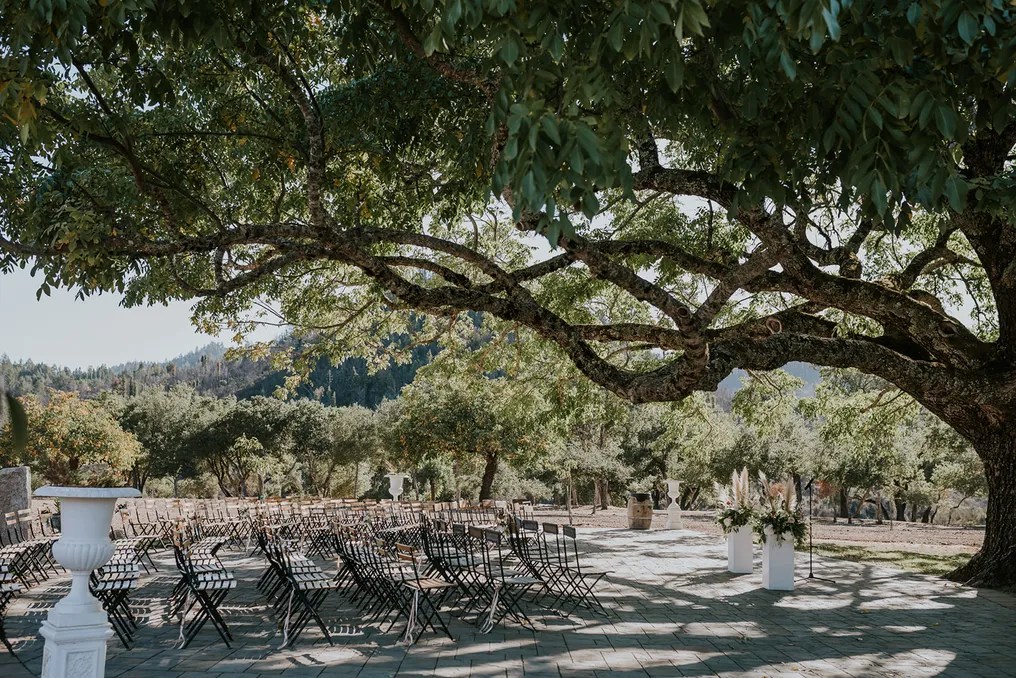 Triple S Ranch Napa #52