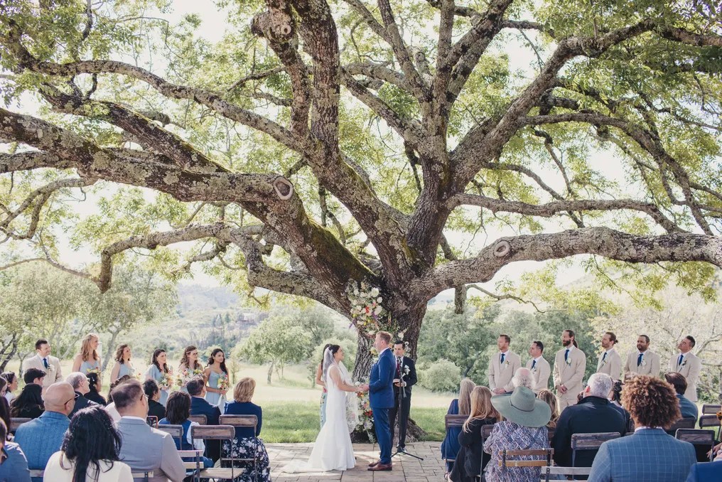 Triple S Ranch Napa #57