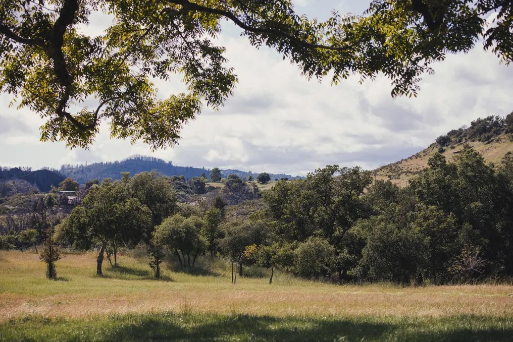 Triple S Ranch Napa #59