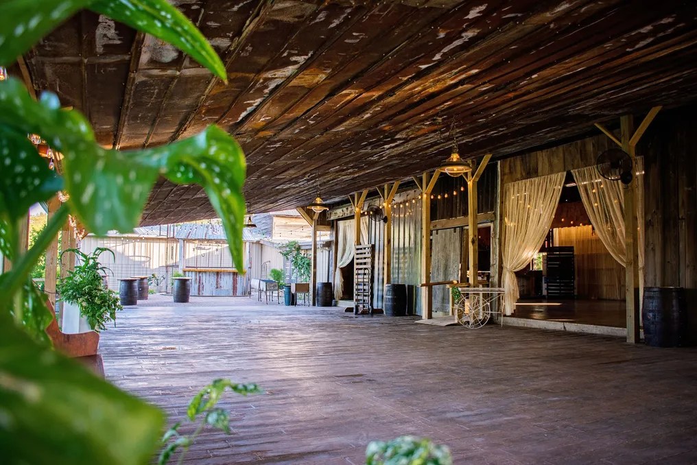 The Palm Tree Barn LLC. #3