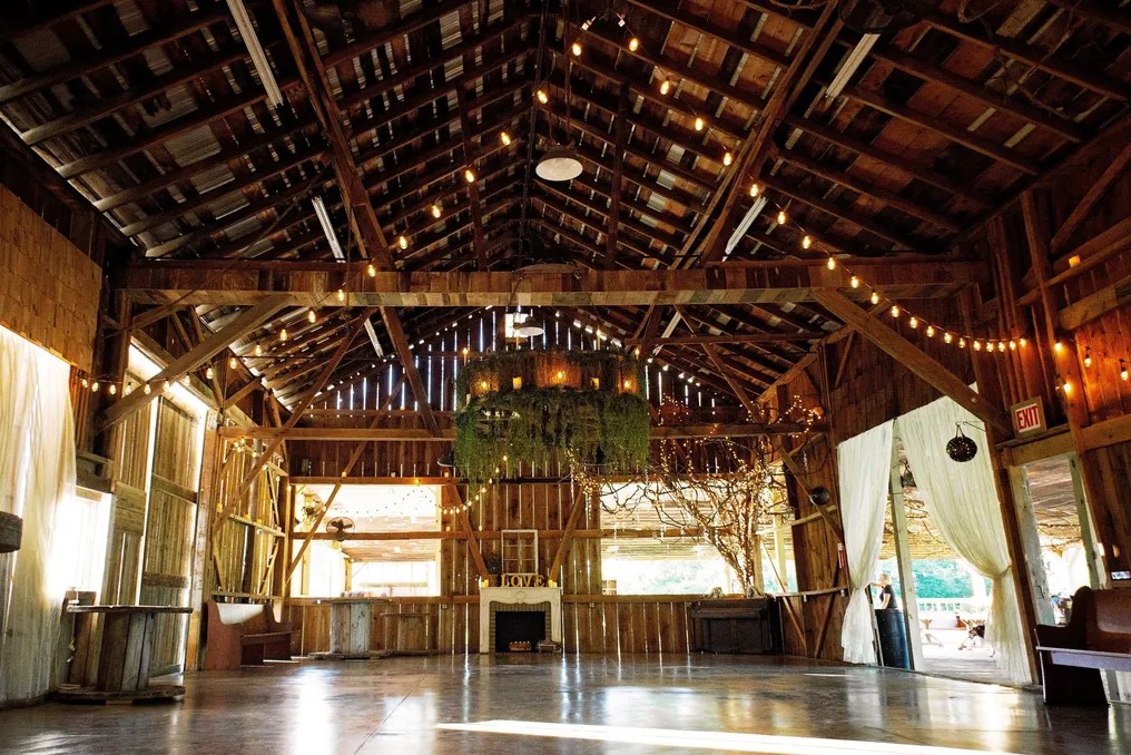 The Palm Tree Barn LLC. #6