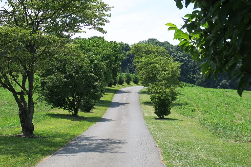 Bluestone Estate #3