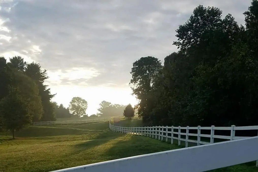Bluestone Estate #23