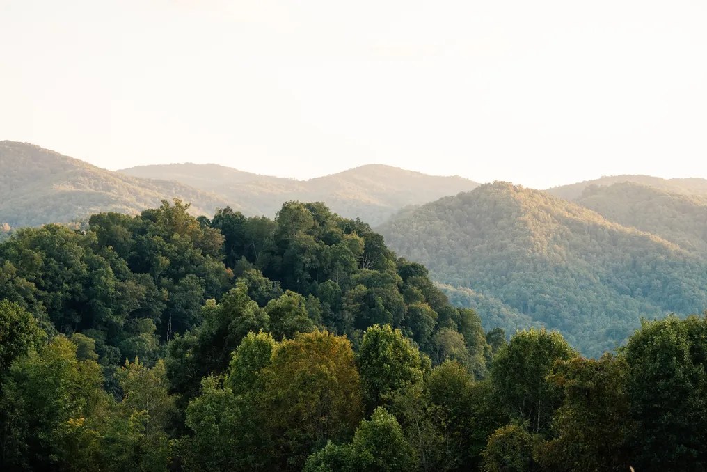 Sugar Hollow Retreat #20