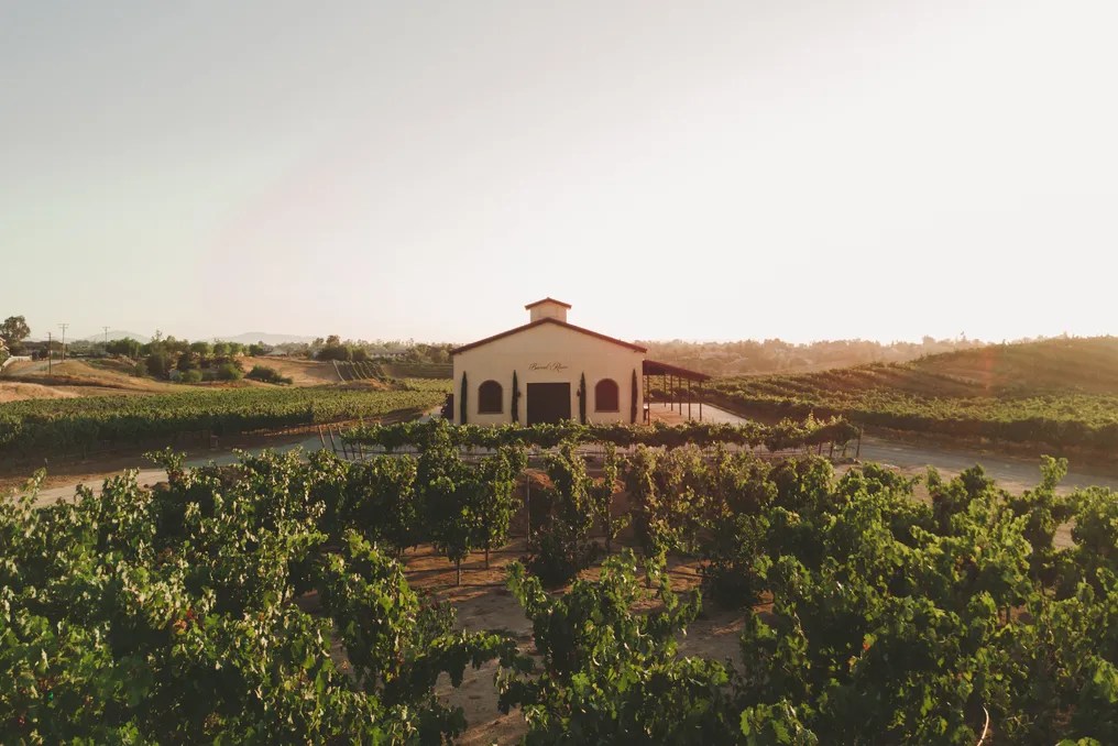 Danza del Sol Winery by Wedgewood Weddings #5