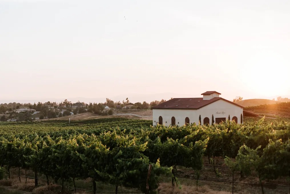 Danza del Sol Winery by Wedgewood Weddings #10