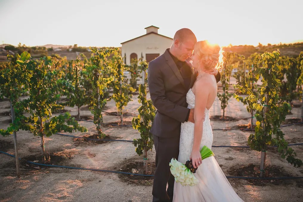 Danza del Sol Winery by Wedgewood Weddings #11