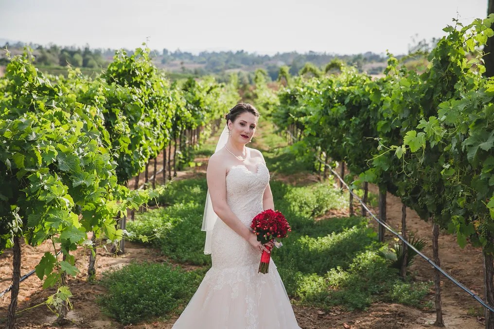 Danza del Sol Winery by Wedgewood Weddings #14