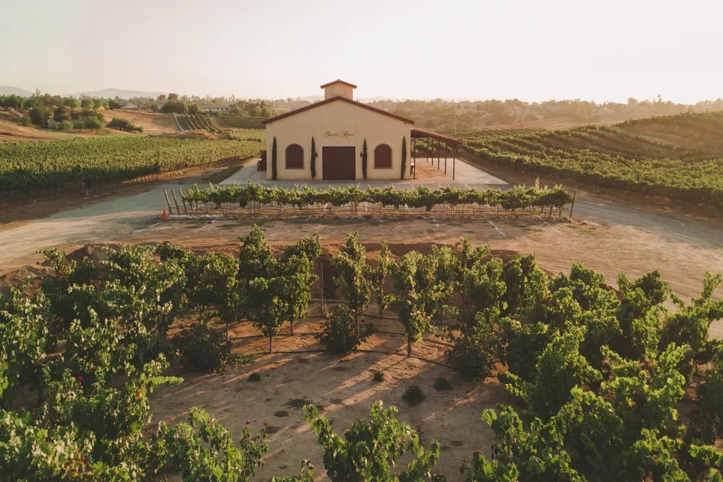 Danza del Sol Winery by Wedgewood Weddings #22