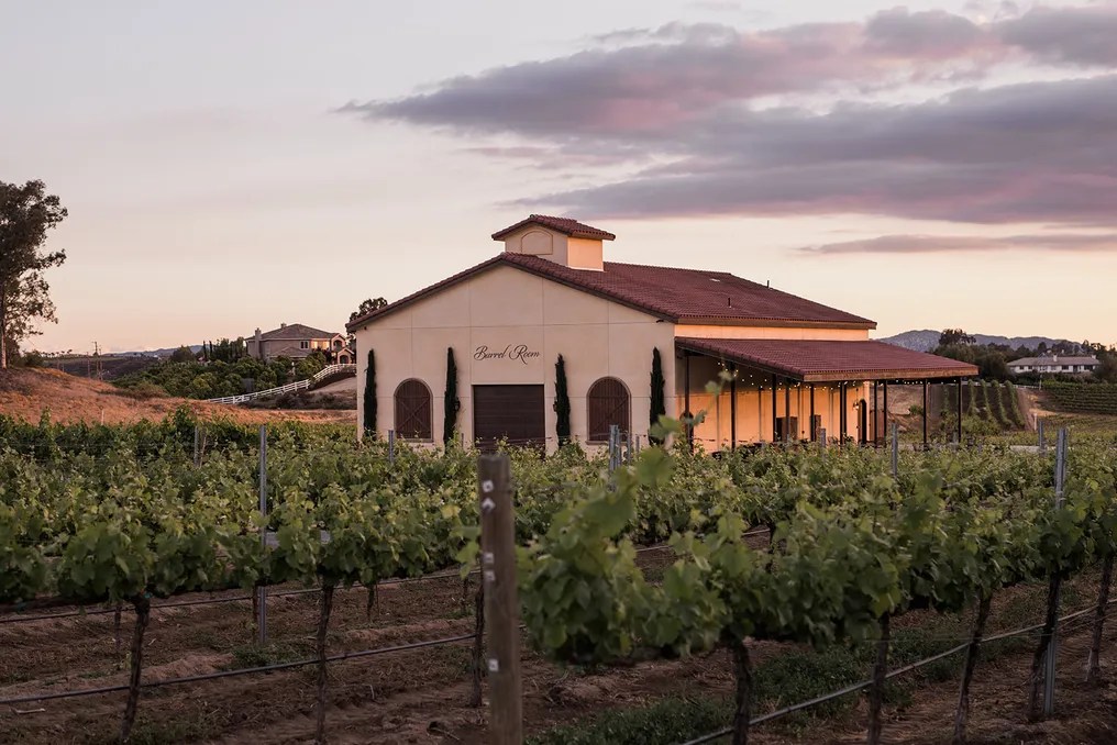 Danza del Sol Winery by Wedgewood Weddings #26