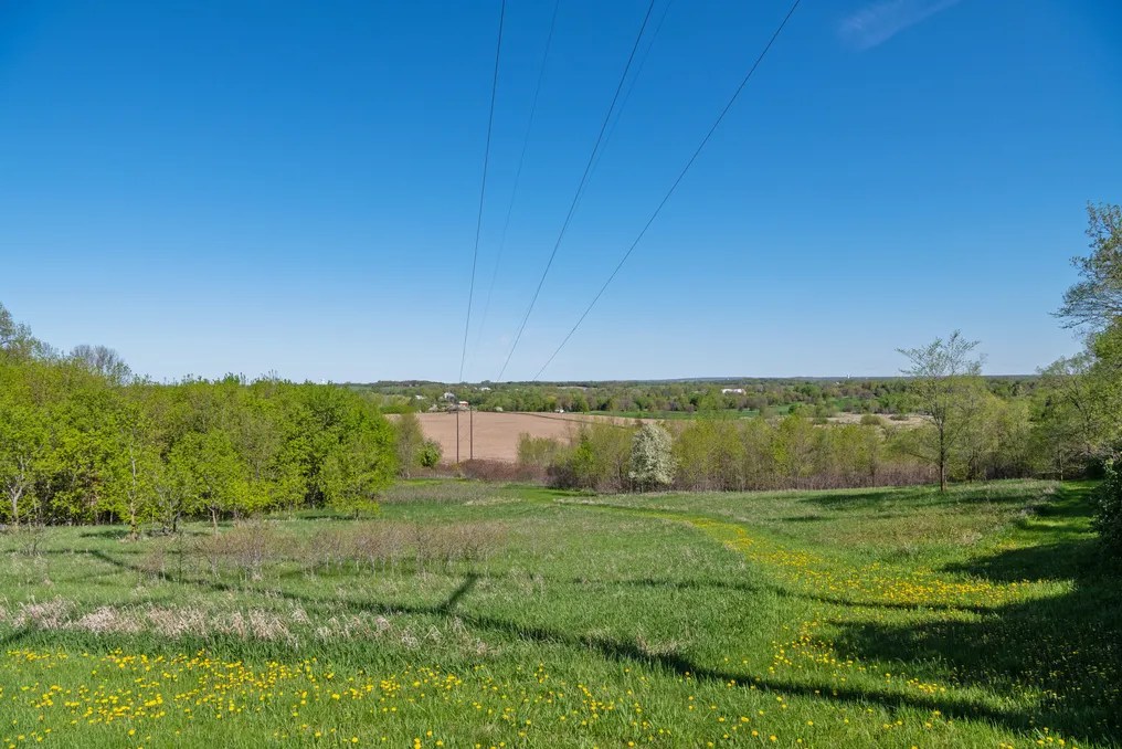 Fisher Farms and Events #10