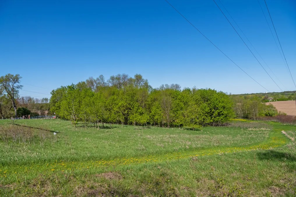 Fisher Farms and Events #11