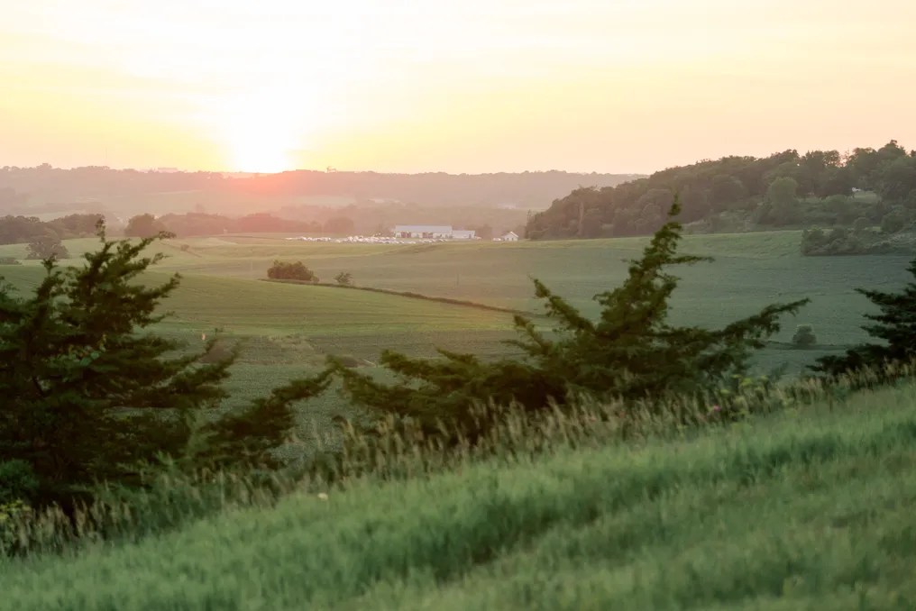 Serenity Hills #5