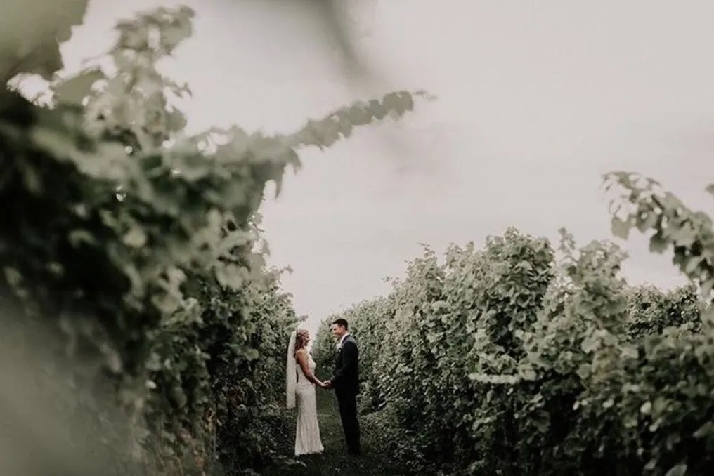 Fero Vineyards & Winery #9