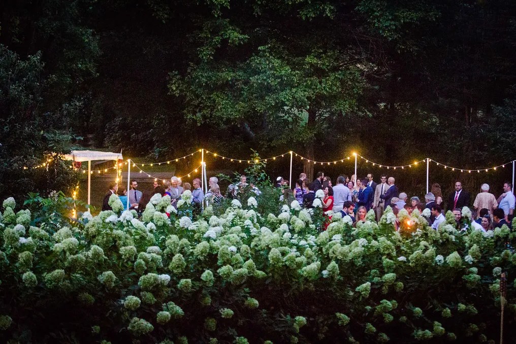 Wollam Gardens #21