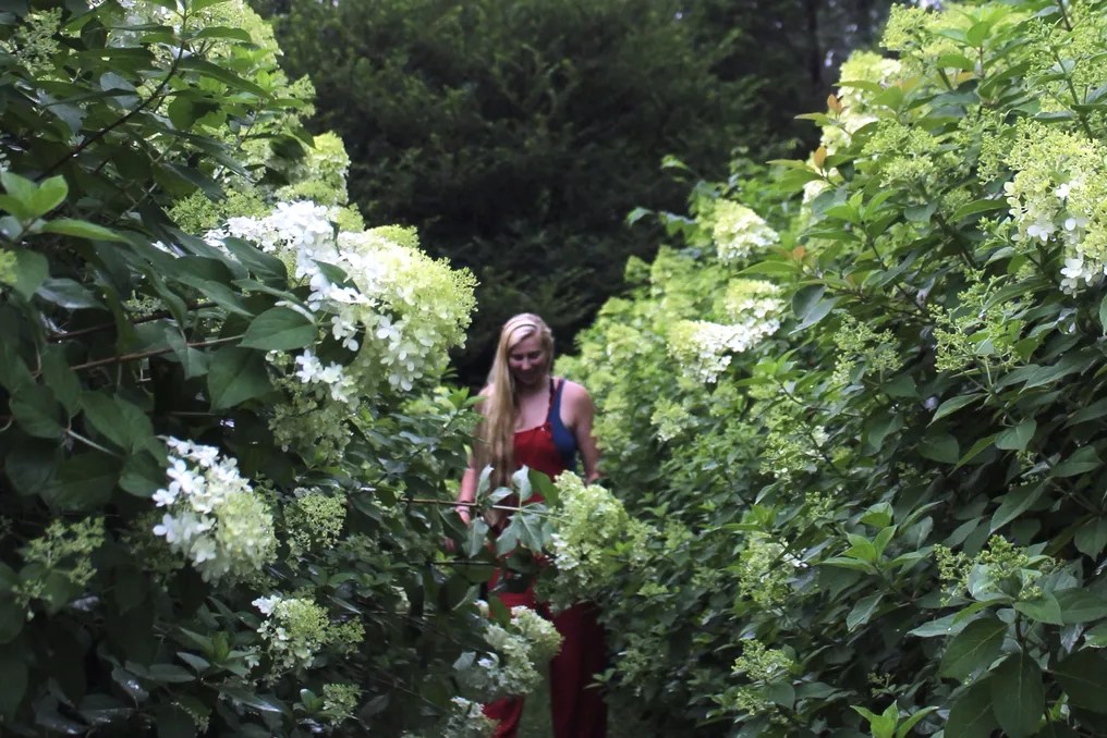 Wollam Gardens #23