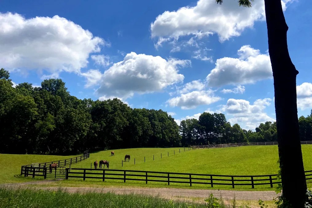 Stillwater Stables & Stays #7